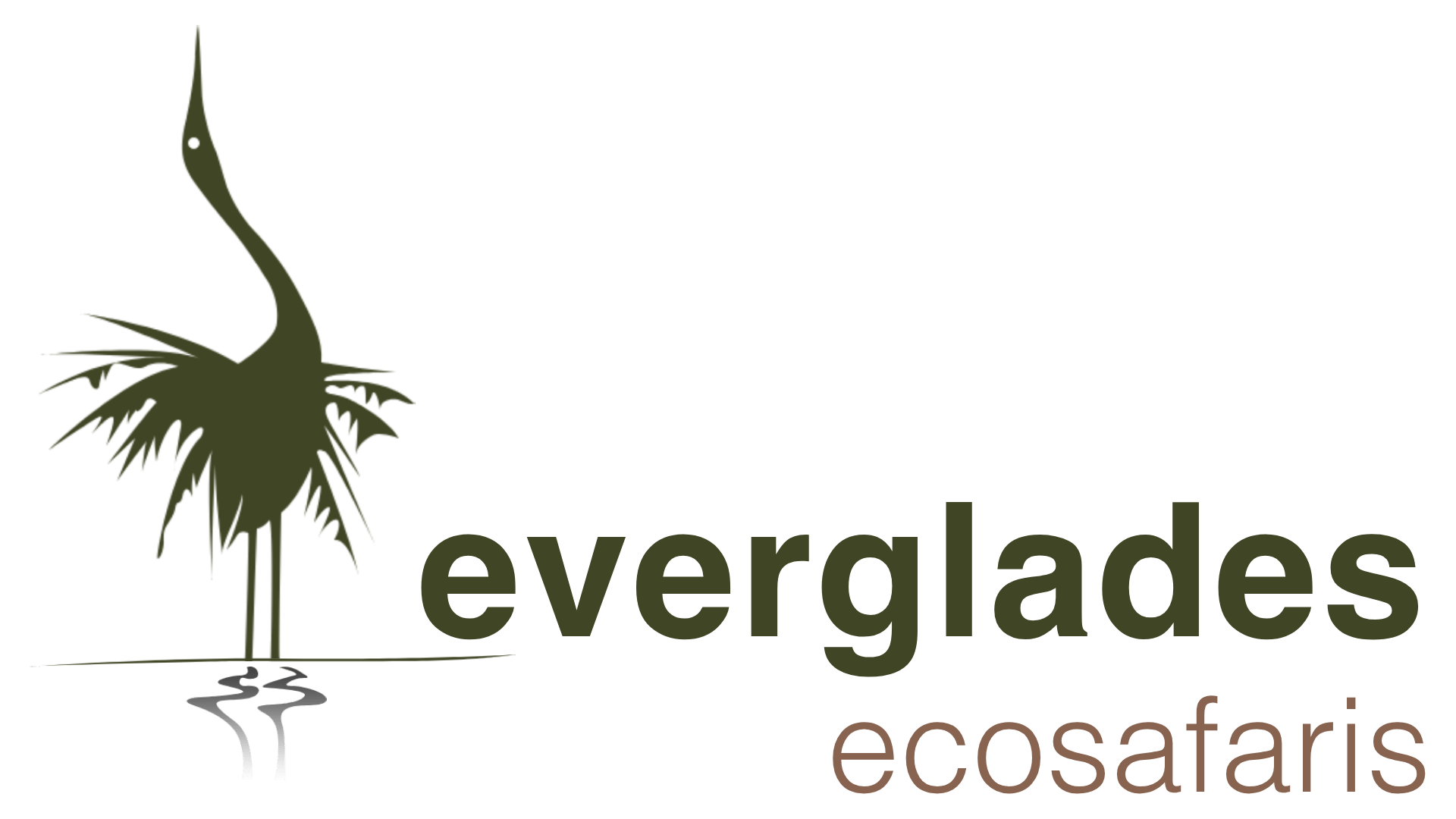 Everglades Eco Safaris