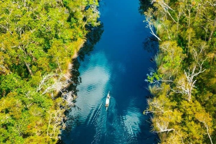 a river running through a forest