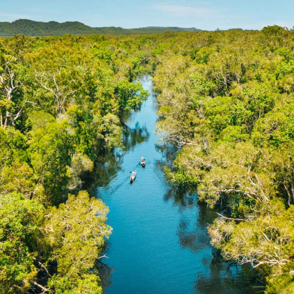 a body of water surrounded by trees