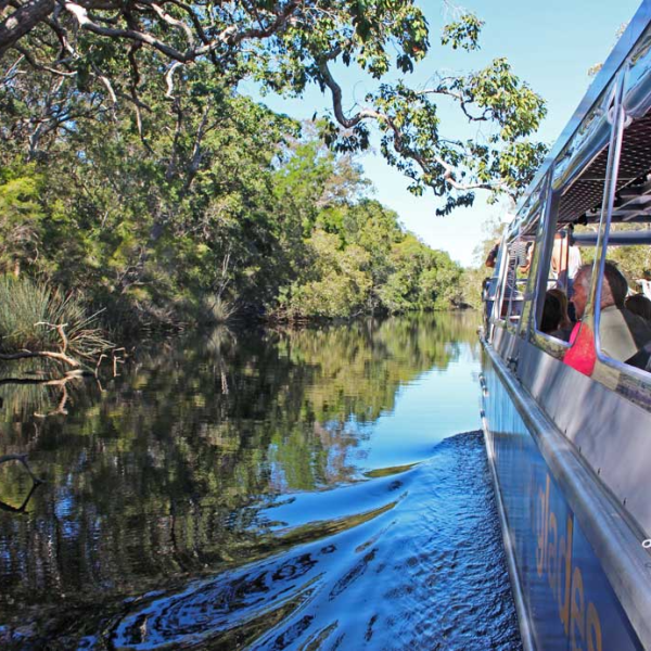 a person riding on the back of a boat next to a tree