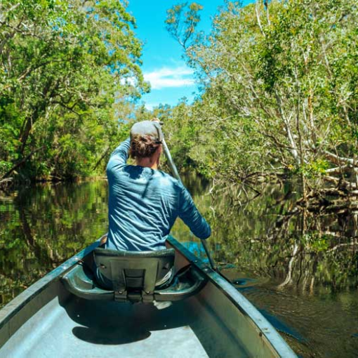 a person riding on the back of a boat next to a tree