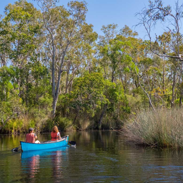 a small boat in a body of water surrounded by trees