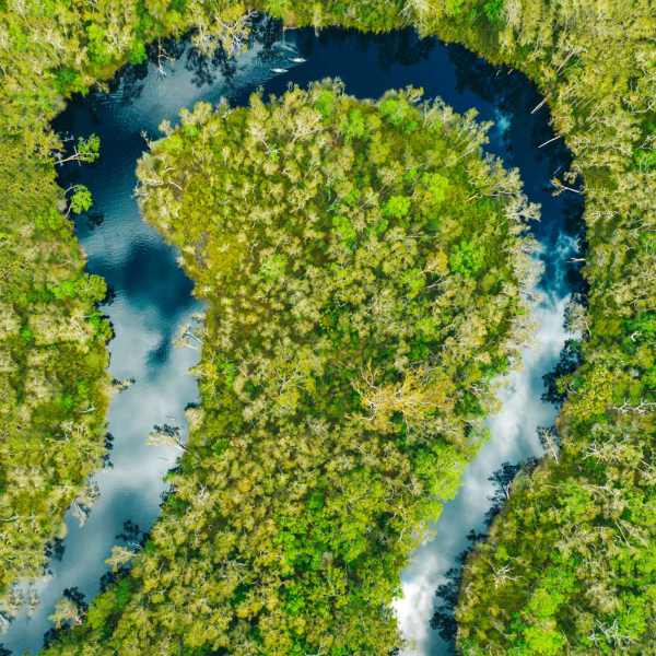 a close up of a green field