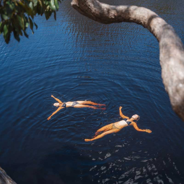 a dog swimming in a body of water