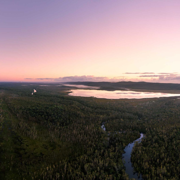 a close up of a hillside next to a body of water