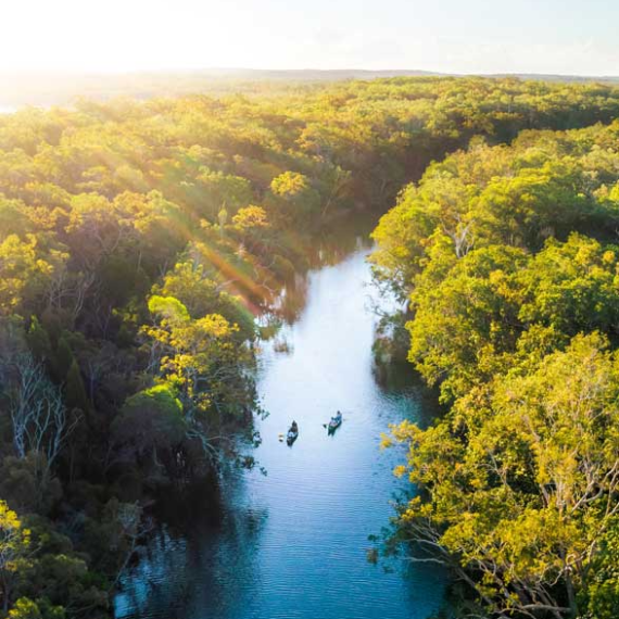 a close up of a flower